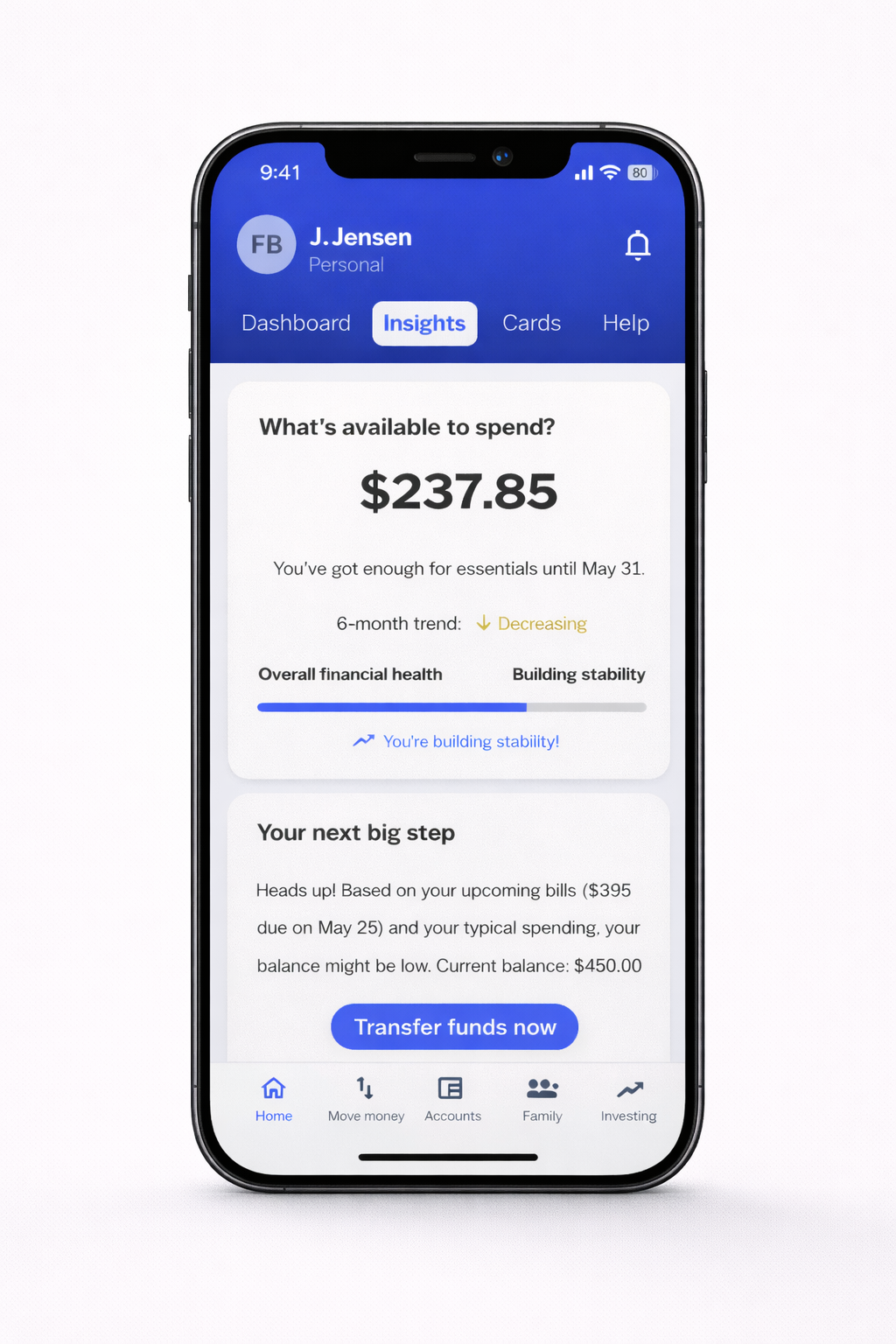 Financial Wellness project preview